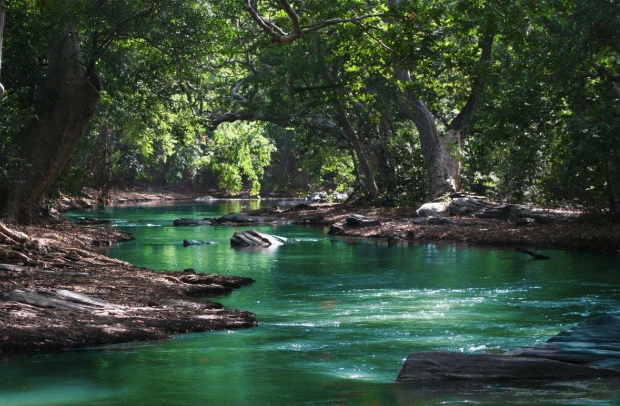 Whitewater Park